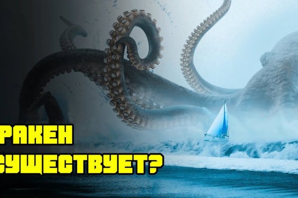 Kraken biz